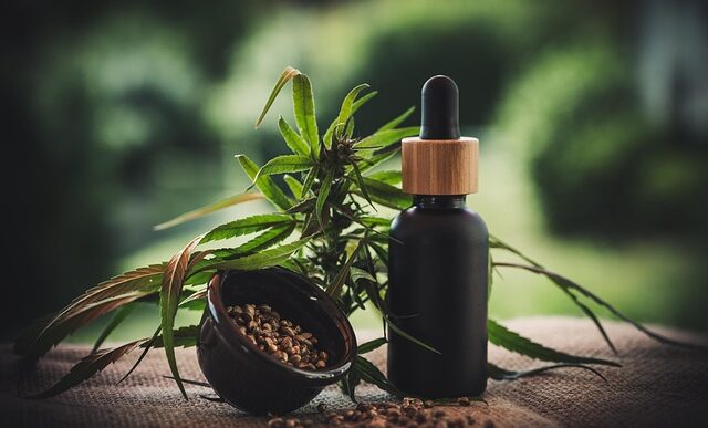 Le28099Uso Della Cannabis Terapeuti