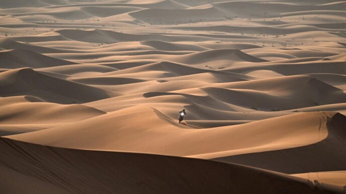 La Dakar Rally 20233A Un27Avidit