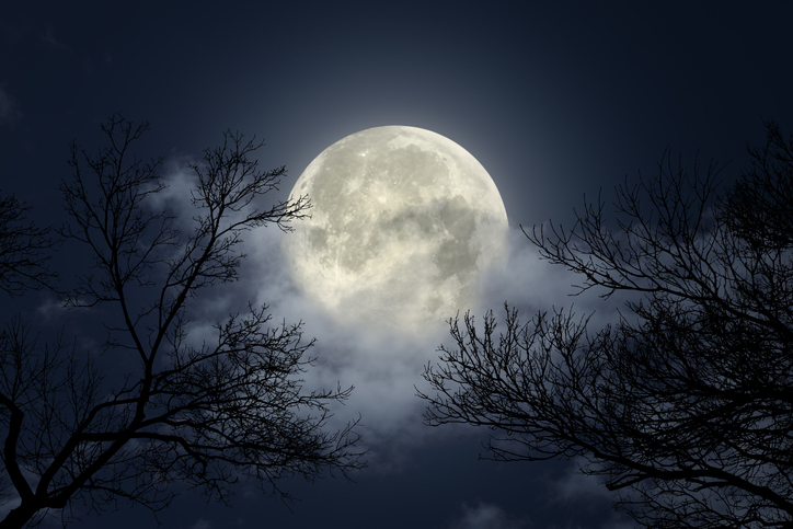 La Luna E Altri 24 Luoghi A Ri