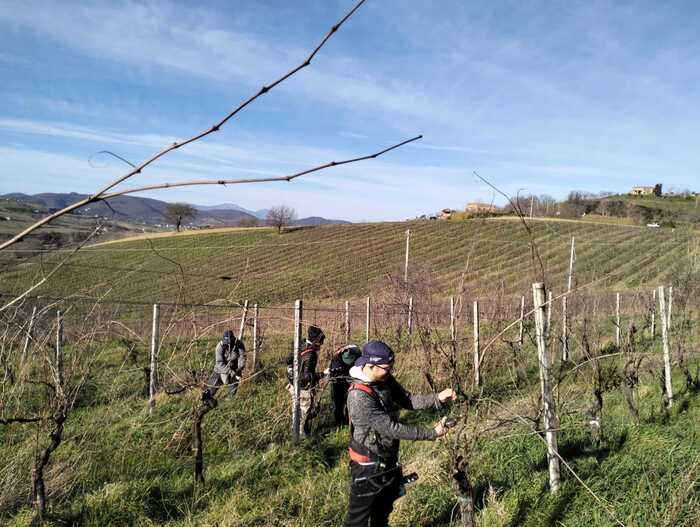 La Moncaro Riparte3A Decisione