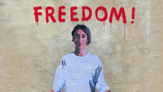 La Liberazione Di Cecilia Sala