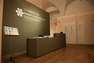 La Mostra 22Surprize 622 A Palaz