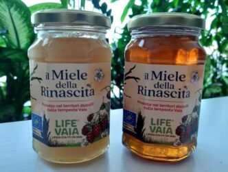 La Nascita Del Miele Della Rin