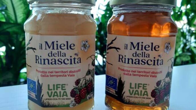 La Nascita Del Miele Della Rin