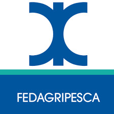 La Pesca Nel Mediterraneo3A Il