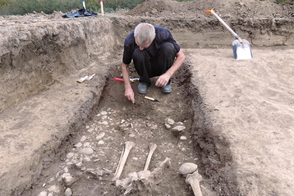 La Scoperta Dei Fossili In Gia