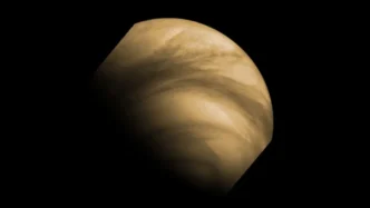 Le Origini Della Vita E Il Fas