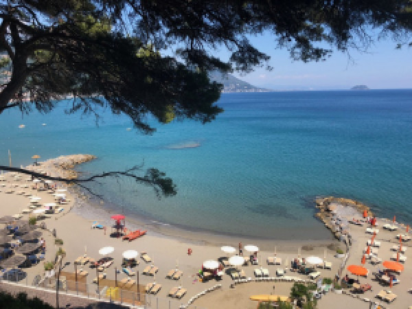 Liguria3A Patto Per Il Lavoro N