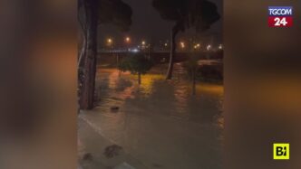 Liguria Sotto Attacco3A Il Malt