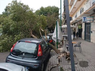 Maltempo A Napoli3A Due Alberi
