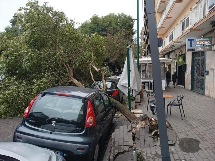 Maltempo A Napoli3A Due Alberi