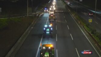 Manifestazioni Di Protesta In