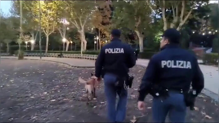 Milano2C Rapina E Aggressione3A