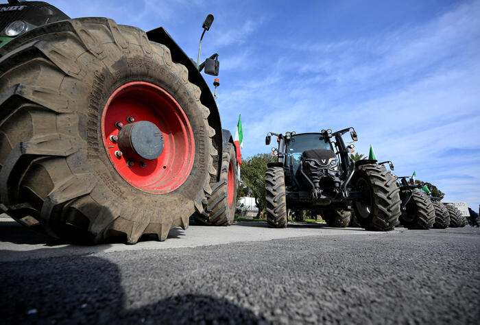 Mobilitazioni Storiche In Camp