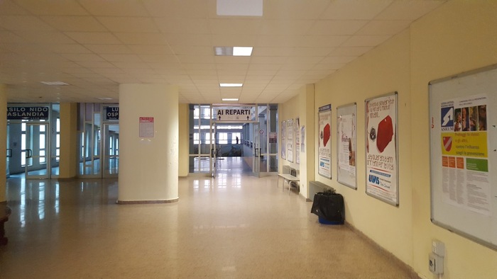 Molise2C Gravi Carenze Di Pedia