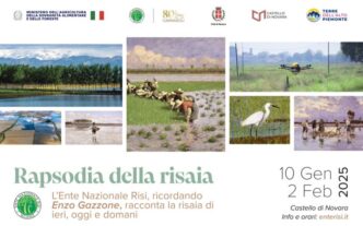 Mostra Al Castello Di Novara3A