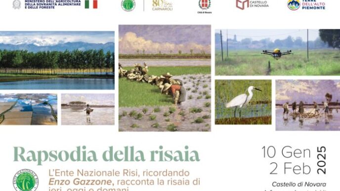 Mostra Al Castello Di Novara3A