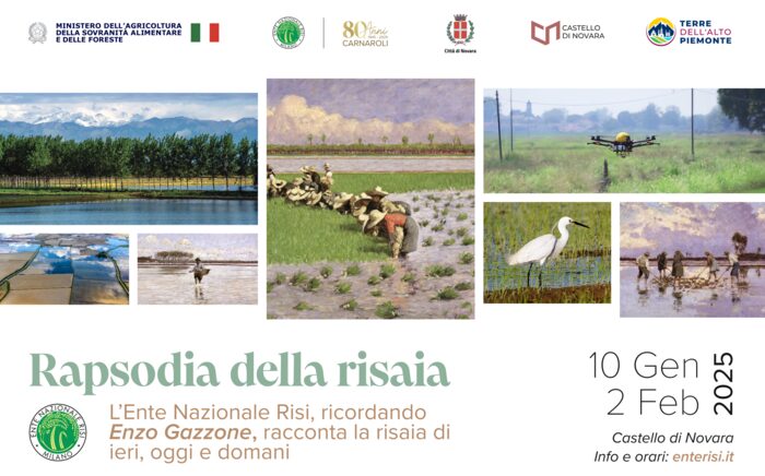 Mostra Al Castello Di Novara3A