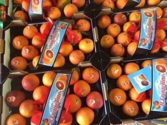 Motta Cooperativa Agricola3A Un