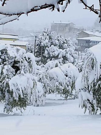Neve E Agroalimentare3A Allerta
