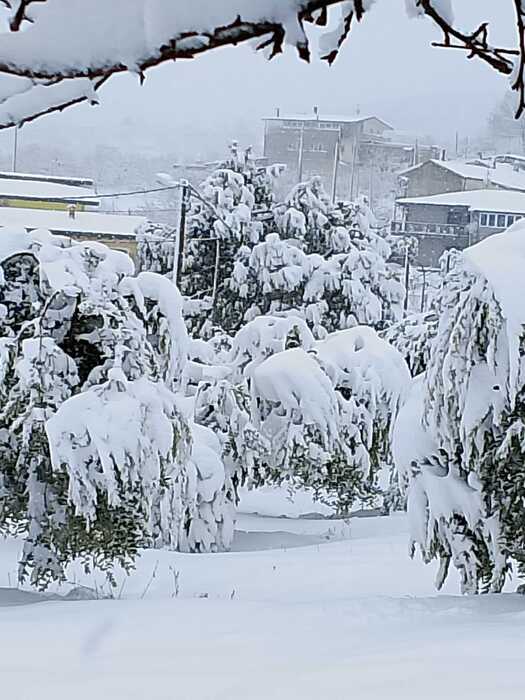 Neve E Agroalimentare3A Allerta