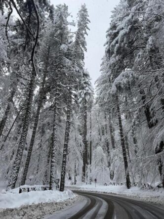 Neve E Turisti3A La Calabria Si
