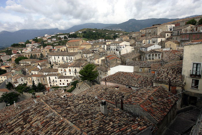 Nomina Di Una Commissione D27Ac