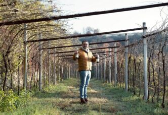 Nuove Frontiere Del Vino3A L27Or