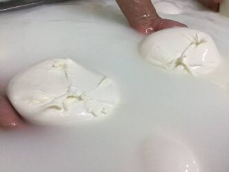 Nuove Prospettive Per La Mozza