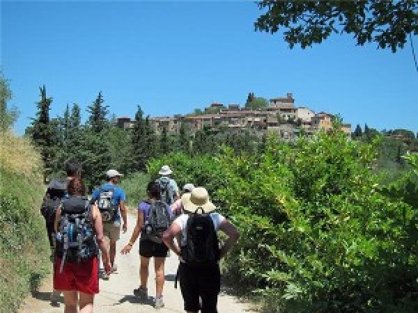 Nuove Regole Sul Turismo In To