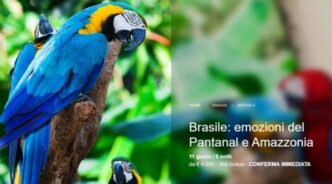 Nuovi Itinerari In Brasile3A Sc