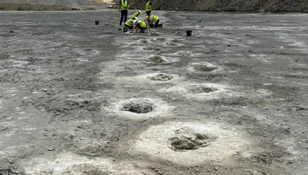 Oltre 200 Orme Fossili Di Dino