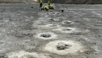 Oltre 200 Orme Fossili Di Dino