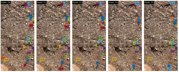 Osservando Il Comportamento De