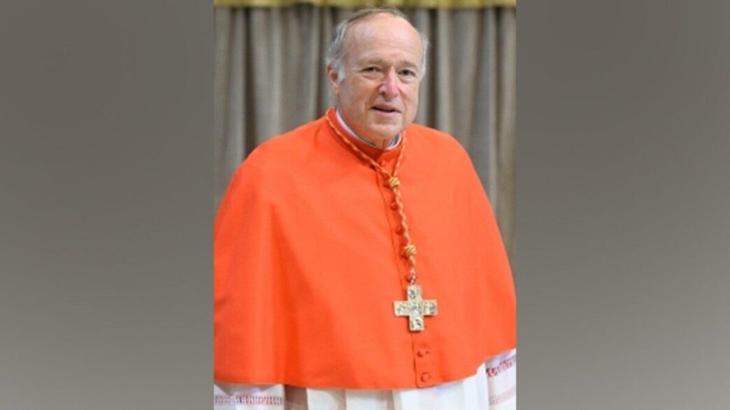 Papa Francesco Accoglie Le Dim