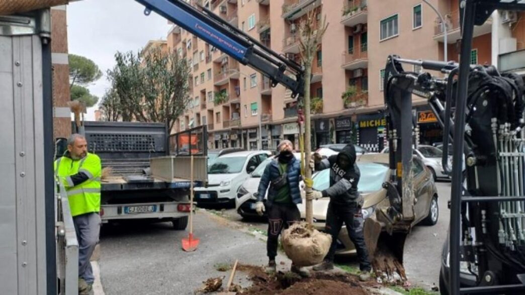 Piantumati 509 Nuovi Alberi Ne