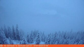 Prima Neviceria Del 20253A Alto
