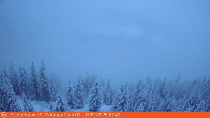 Prima Neviceria Del 20253A Alto
