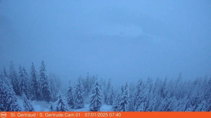 Prima Neviceria Del 20253A Alto