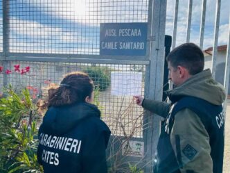 Processo Per Maltrattamento Di