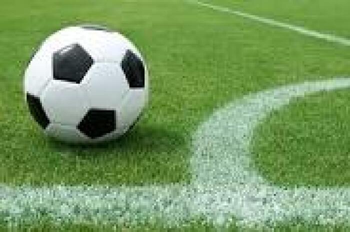 Pugno In Campo Per Insulti Raz