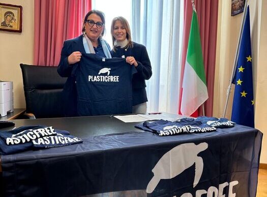 Pulizia Della Spiaggia Dei Fio