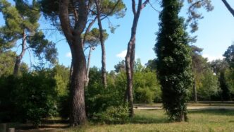 Rapina Pomeridiana All27Ufficio