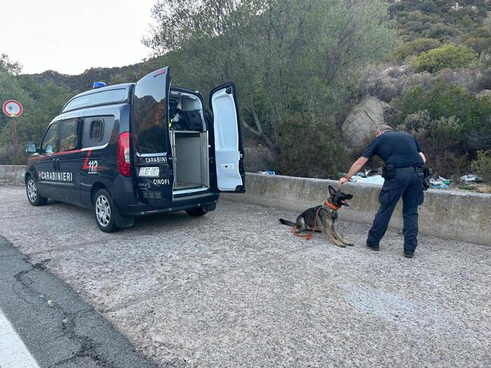Resti Umani Trovati Nel Fiume