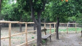 Riapre L27Area Di Sgambamento P