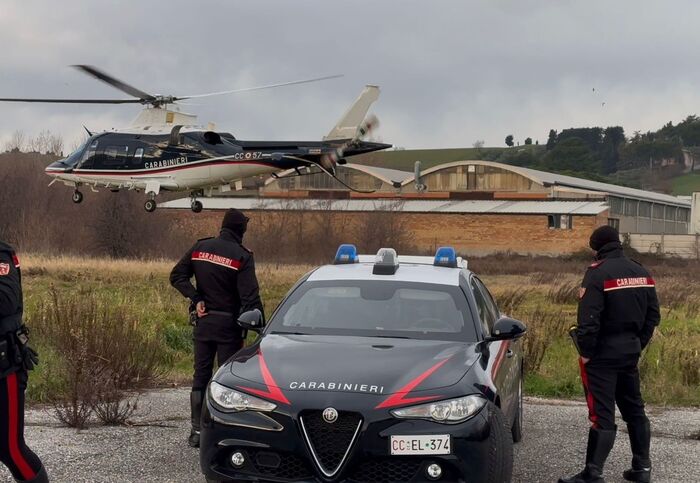 Ricerche In Corso A Montelabba