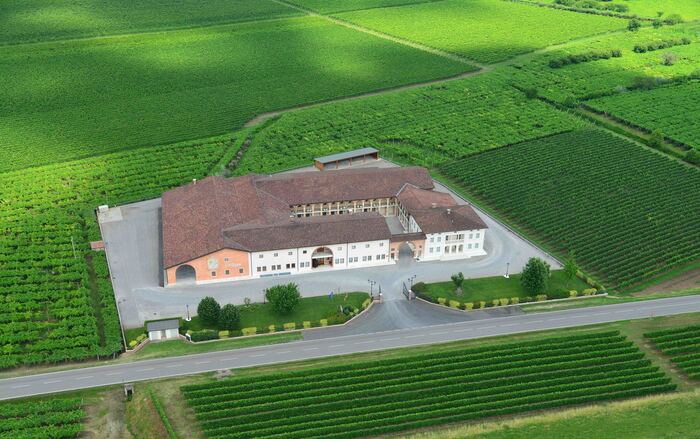 Riconoscimento Per La Cantina