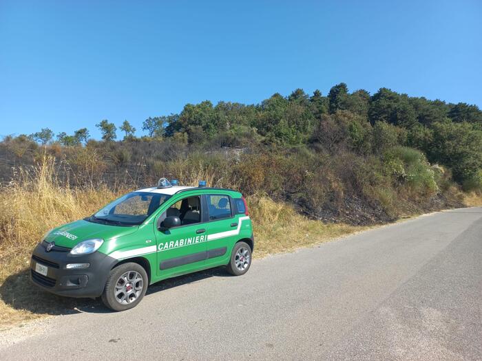 Rieti3A Sequestrati 26 Cani Mal