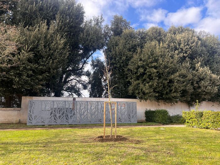 Rinnovamento Botanico Alla Reg