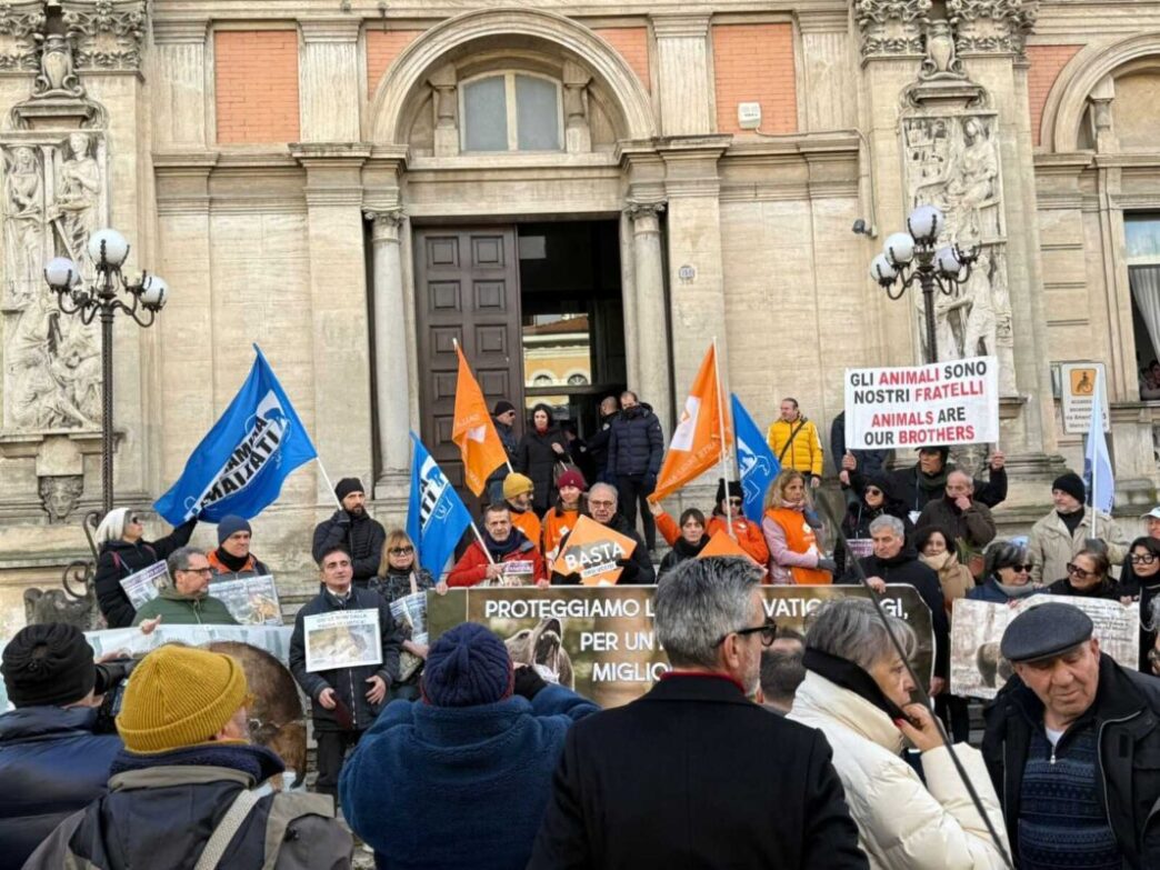 Rinvio Del Processo Per La Mor